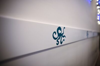 la tana del polpo Bari